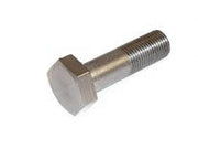 Hex bolt M10 x 1 x 35 - SSt