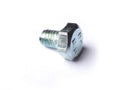 Hex bolt M6 x 8 for oil sieve - zinc plated