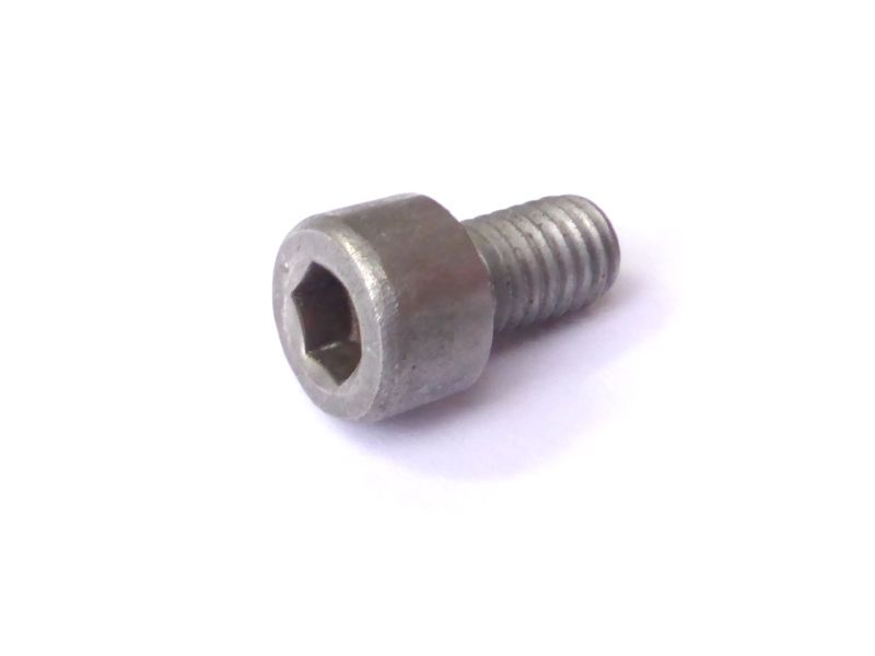 Fillister head screw M6 x 10