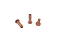 Rivet for brake lining & steering damper  3 x 10 mm