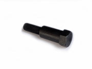 Screw for chain tensioner
