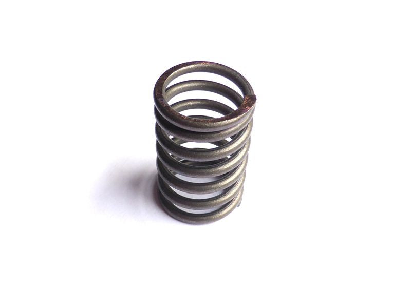 Valve spring inner