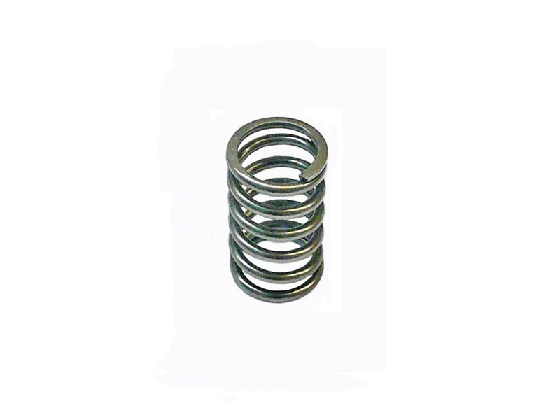 Valve spring inner