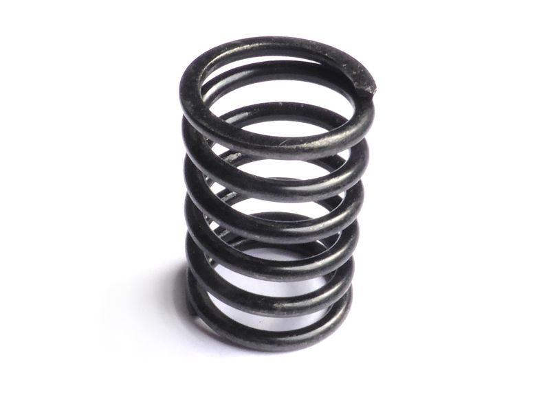 Valve spring inner