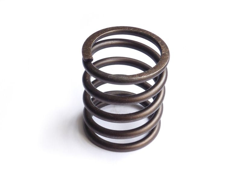 Valve spring outer