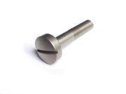 Slotted screw for shift fork