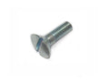 Lens head countersunk screw