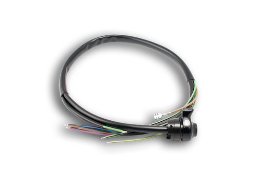 Switch for throttle housing - turn signal & starter button (discontinued)