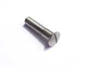 Screw M6 x 25 (DIN91) - SSt