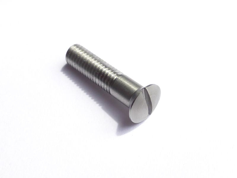 Screw M6 x 25 (DIN91) - SSt